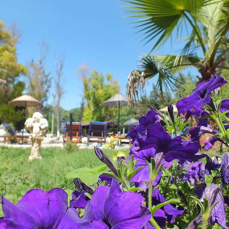 Utopia 5* Kayaköy
