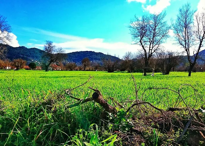 Отель Utopia Кайакёй