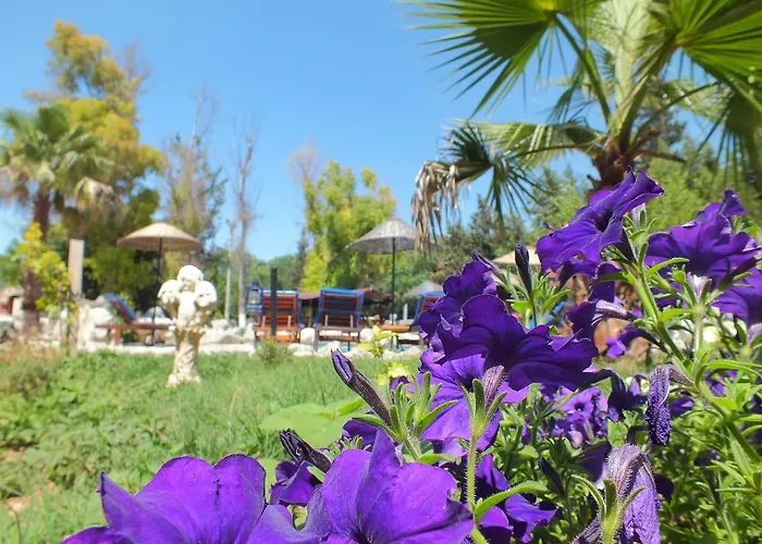 Utopia 5* 카야코이