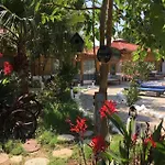 Utopia Kayakoy